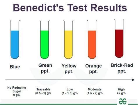 benedict's test positive color|Benedict's Test: Principle, Requirements, Procedure .